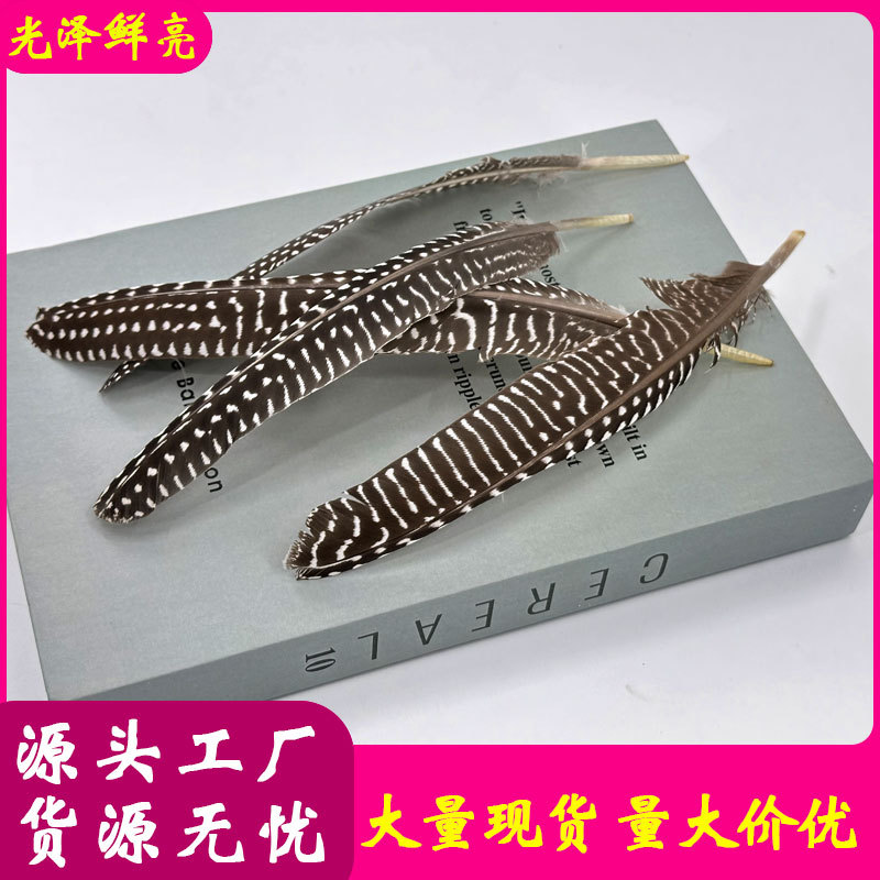 Original Color Pearl Feathers, High-Quality Pearl Chicken Feathers, DIY Cat Teaser Wand, Corsage, Shuttlecock, Decorative Accessories, Feathers