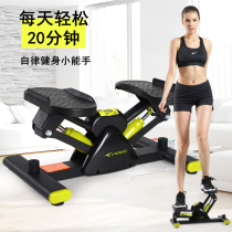 Stepper mini household silent multi-functional twisting in-situ climbing machine body shaping artifact sports stepper