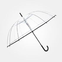 Folding automatic painting gift transparent umbrella large high-grade sunny umbrella sketching literary primary school small arch color