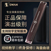 German imported gong swan 24-hole polyphonic harmonica for adult beginners entry-level 28-hole accented professional performance level