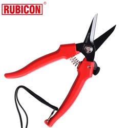 Robin Hood Professional Flower Branch Scissors 원예 가위 Bonsai Branch Scissors Orchard Flower Garden Cutting RPS 시리즈
