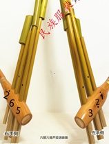Anche dinstrument de musique Guizhou Miao en bambou faite à la main grande anche à six tubes à six tons pour une performance sur scène. Prenez une photo et envoyez la partition musicale.