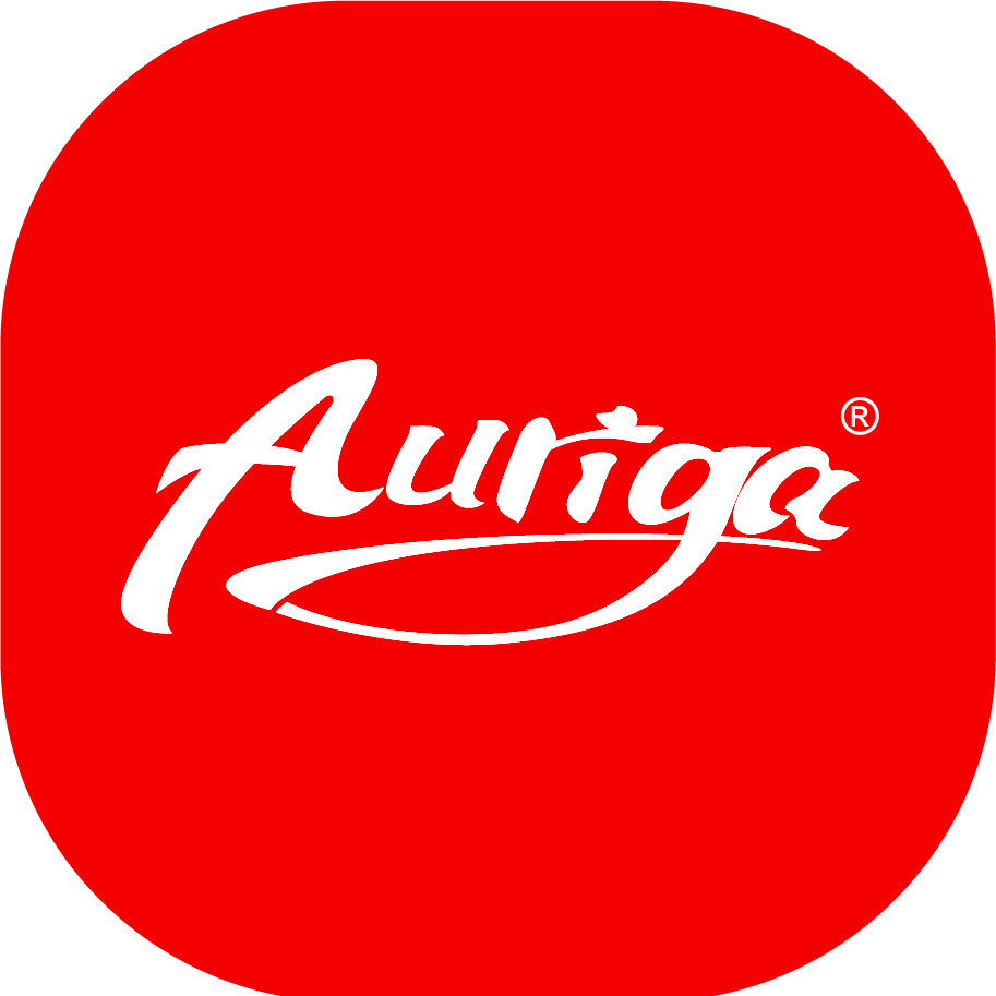 Auriga乐器旗舰店