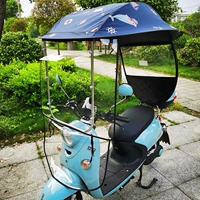 [Обычная модель+твердый стент] Тибетский дельфин+зеркальный стрельба