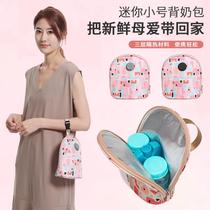 Breast milk cooler bag portable breast milk preservation bag milk storage ice bag blue ice milk storage bag for work small size USB heating