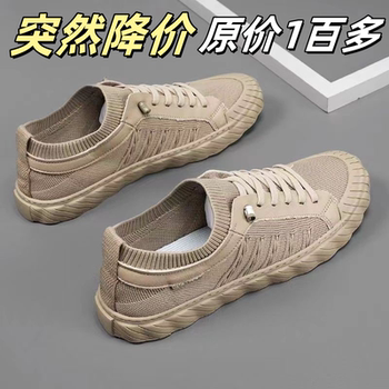 2025 New Summer Old Beijing Cloth Shoes Trendy Breathable Casual Shoes Canvas Shoes Korean Style Men's Versatile Sneakers