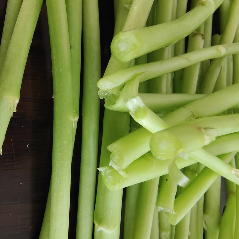 藜蒿、芦蒿、泥蒿,哪种野菜更适合你?深度测评带你解锁美味秘密🌱--淘宝好物网
