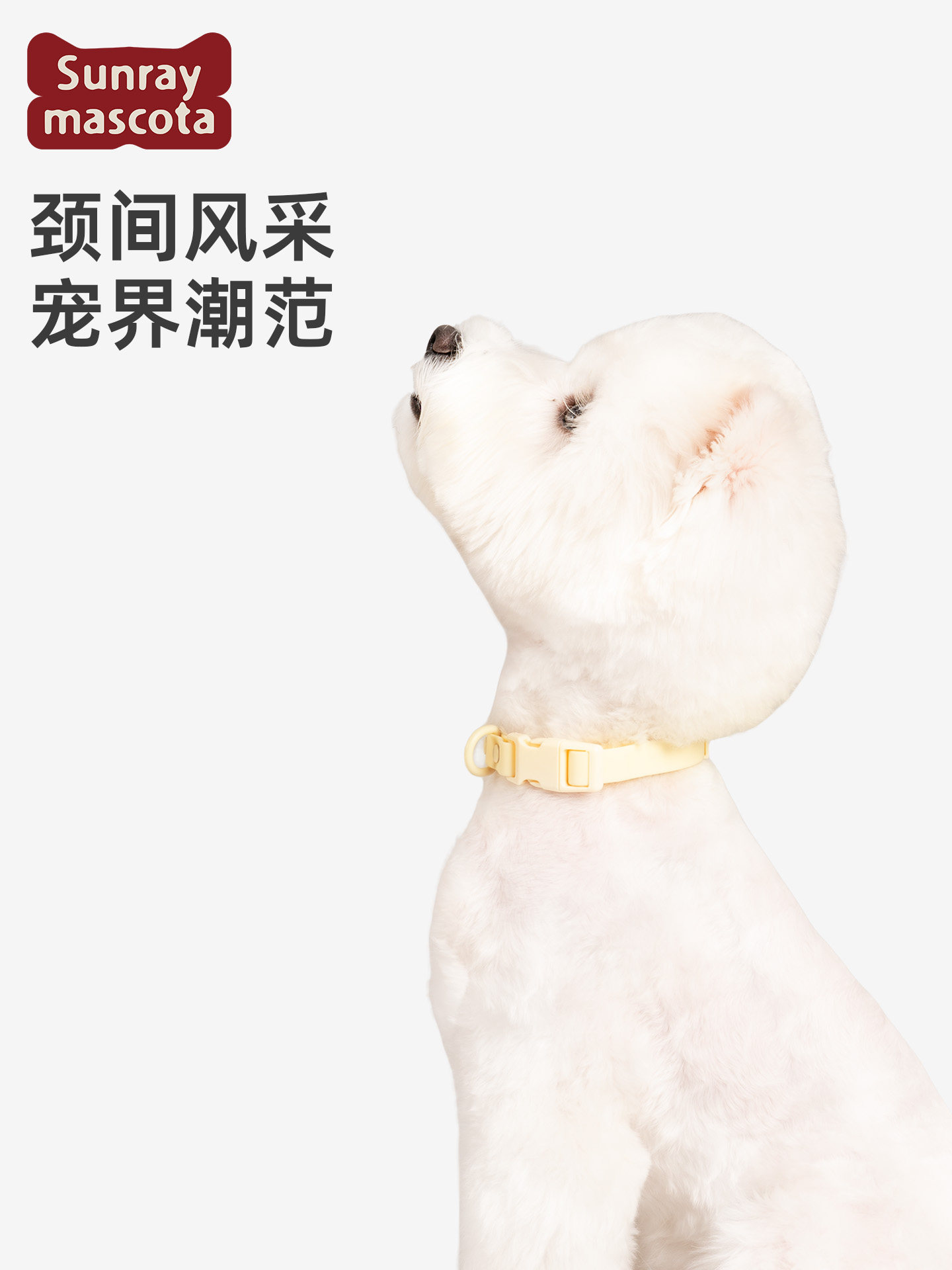 Sunraymascota Dog Collar Waterproof Neck Protection Pet Collar Medium-Sized Dog Collar Cat Collar Leash