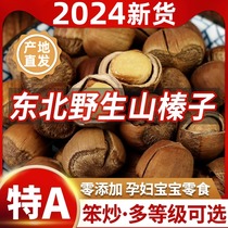 Northeastern Wild Mountain Hazelnut Northeastern Specialty Fresh Raw Hazelnut Fried and Cooked Da Tieling Special Grade Zhenzi Official Flagship Store