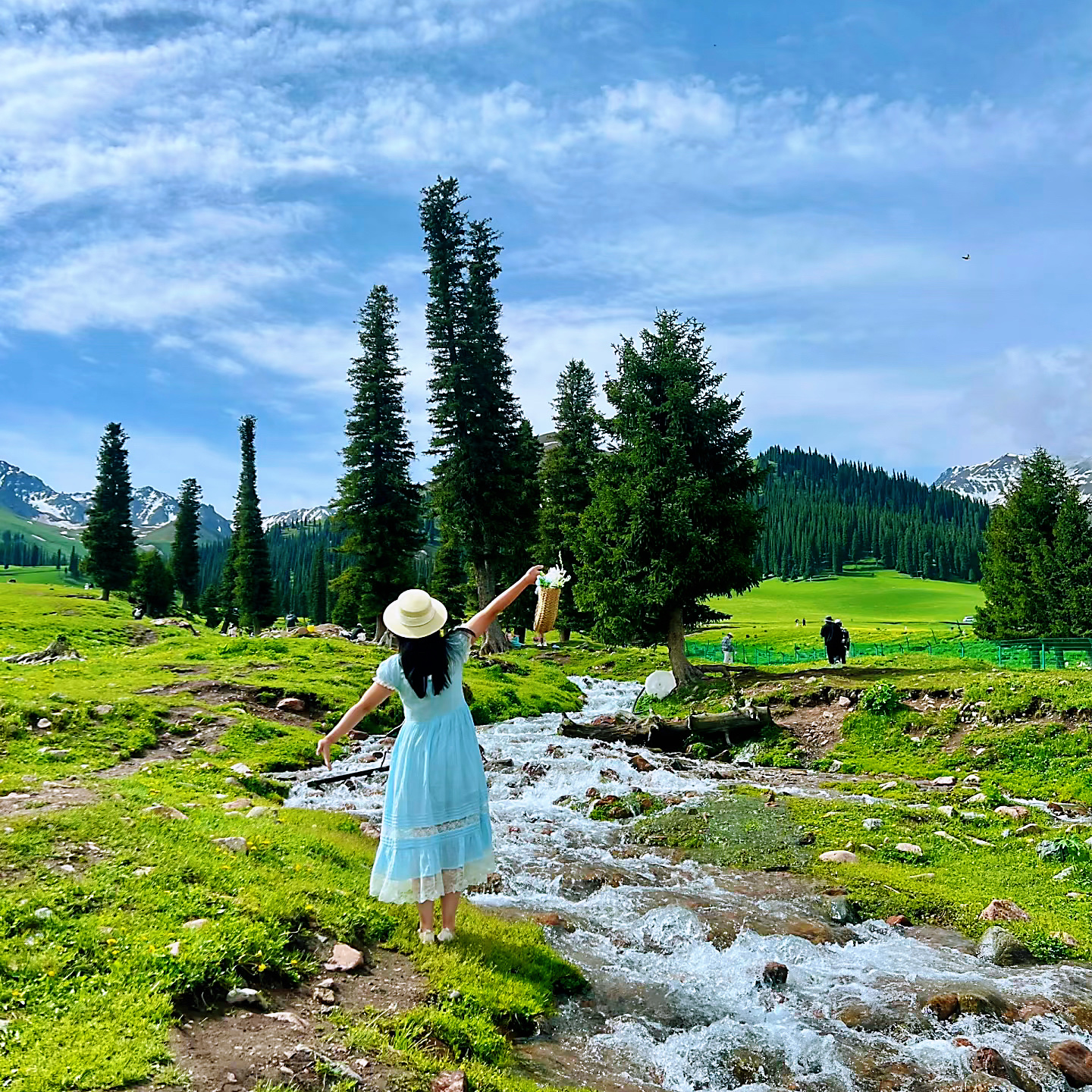 新疆宝藏：赛里木湖那拉提喀纳斯旅游文创的魅力之旅