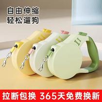 Cat leash walking from small dog supplies dog leash chain telescopic medium pet cat small outing·