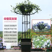 Flower Gardening 2022 Climbing Frame Mushroom Bracket Rose Umbrella Rose Flower Vine Climbing Pergola Outdoor Bracket New Rose