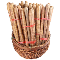 Authentic Wenxian loin soil iron bar yam fresh raw iron bar Huaiyam Huaiyam powder glutinous and sweet small white mouth yam