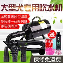 Pet dog water blower high-power static cat supplies dog blower Jiayin golden retriever large CDB166 dog special use
