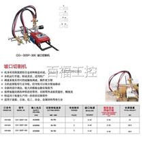 Warwick CG1-30SP-100 300 400 bevel cutting machine linear cutting machine multi-cutting torch bevel cutting machine