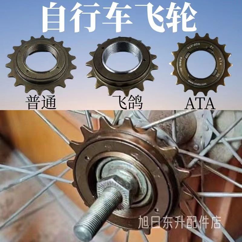 Bicycle Freewheel Gear Single Speed 16 Teeth 18 Teeth 20 Teeth 22 Teeth Folding Ladies' Bike Chainwheel Chain Guard Rear Wheel