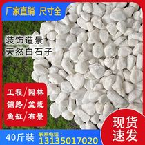 Yunnan Natural Large Pebble Stone Palace Fish Pool Fengyun Lawn Garden