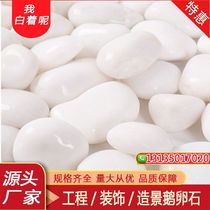 Hubei white pebbles Yuhua stone raw stone courtyard paving balcony landscaping soft stone boutique polished natural small