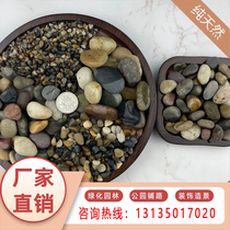 Tianjin pea stone backfill floor heating pea stone pebbles filter material water treatment washed cobblestone backfill pea stone