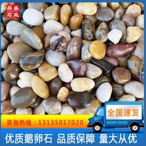 Hebei cobblestone Yuhua stone small pebbles natural raw stone fish tank flower pot goose soft stone courtyard decoration colorful stone