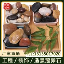 Guangdong cobblestone paving courtyard stone garden landscaping garden wall fish tank natural stone rough stone