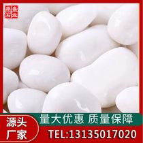 Guangxi pure natural pebbles white pebbles flower pot stones fish tank stones paving stones home accessories