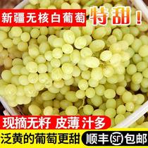 (5斤顺丰)新疆无核白葡萄青提提子马奶水晶葡萄1斤2斤新鲜水果