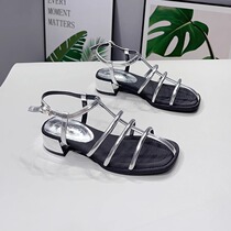 French niche thick heel Roman sandals for women 2024 new summer style fairy style versatile buckle open toe pig cage shoes