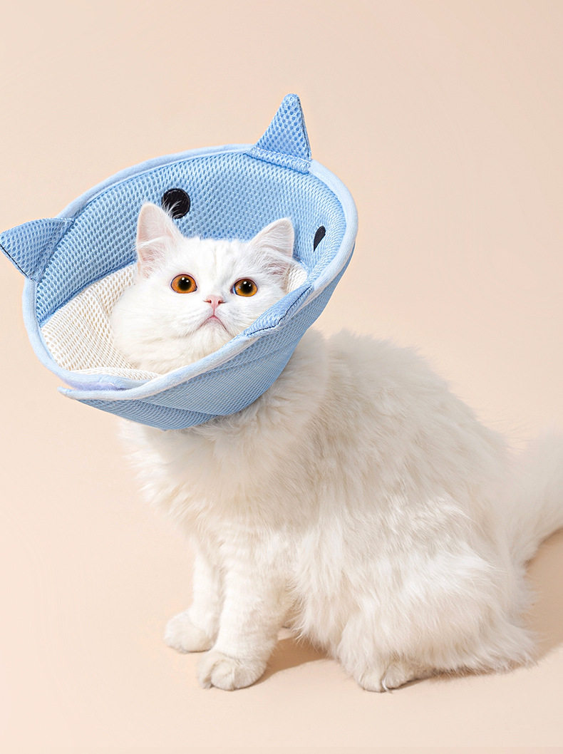 ПЭТ Элизабет 宠物伊丽莎白圈猫钮扣术后羞耻项圈狗狗防咬防舔圈保护头套脖圈 Neurological cat