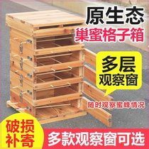 Beekeeping bee lattice five-layer medium bee complete set of fir wax soil bee box nest honey luring bucket traditional beekeeping lazy person