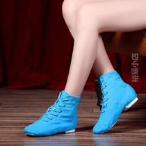 Adult Shoes Practice Kung Fu Body Yogor Children High Cylinder Dance Ballet Jazz Dance Soft Bottom Shoes Modern Boots Shoes