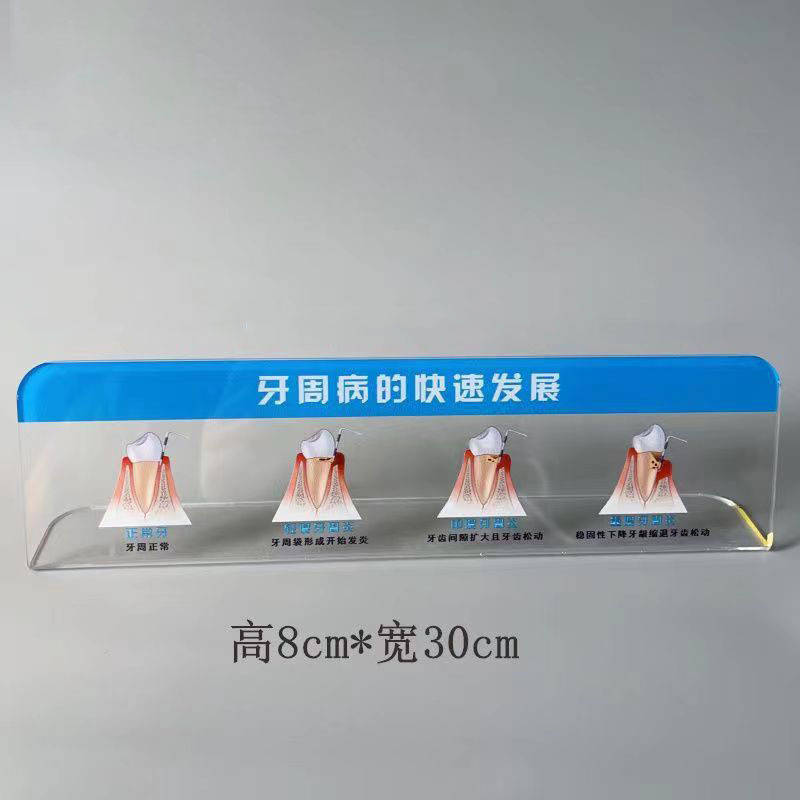 口腔医院口腔全套种植定制台式模型医患沟通标识牙科工具组合