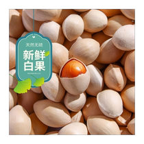 Fresh ginkgo shelled raw ginkgo natural unbleached sulfur-free smoked ginkgo kernel a specialty of Xuzhou and Pizhou