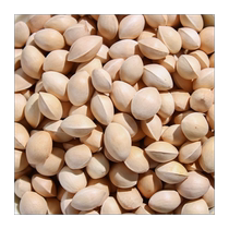 Fresh raw ginkgo fruit in shell white nut unbleached ginkgo fruit Xuzhou Pizhou specialty