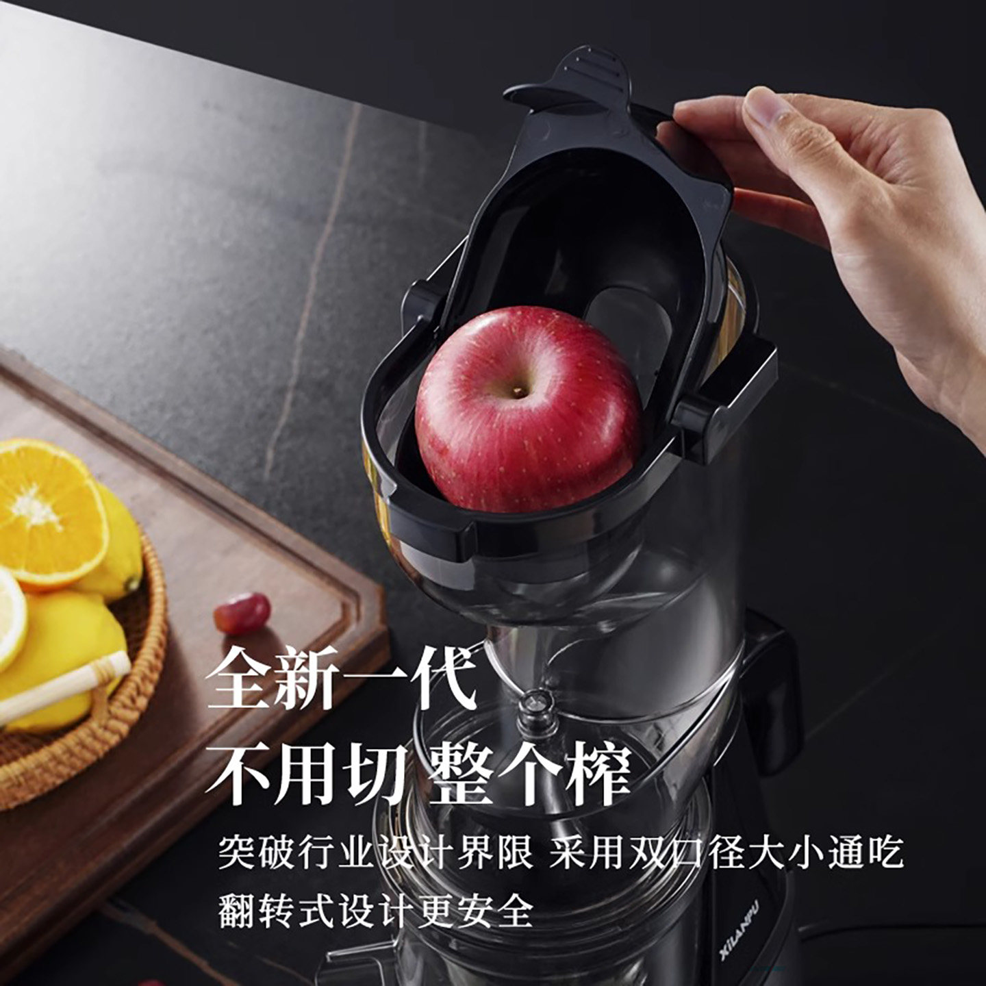 German 2025 New Model Juicer with Pulp Separation, Small Household Fully Automatic Juicer, Suitable for Commercial Use and Stall Sales