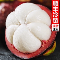 (Good Fruit Laoshu Mazhu) Thai Mangosteen 3 5 catties TY