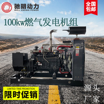 Manufacturer supplies 100kW gas generator set three-phase brushless large 100kw biogas generator set
