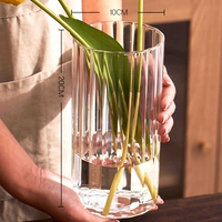 1020NS Прозрачная модель