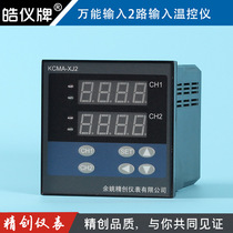 Haoyi brand two-way temperature controller pt100 thermocouple k input 2-way PID adjustment output with alarm relay
