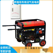 Single-phase household small biogas generator set 6KW three-phase multi-fuel generator set 5000W for farms