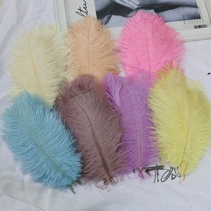 Colorful Ostrich Feathers 15-20cm Wedding Decorations Trendy Wall Decoration Feather Wall Bouquet DIY Dream Catcher Materials Colorful Ostrich Feathers 15-20cm Wedding Decorations Trendy Wall Decoration Feather Wall Bouquet DIY Dream Catcher Materials