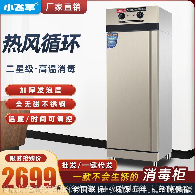 Disinfection cabinet high temperature commercial double door large capacity vertical cleaning cabinet restaurant canteen hotel plate disinfection cupboard
