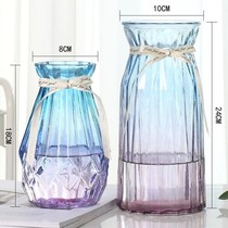 Vase glass transparent water-living living room ornaments flower arrangement vase Nordic ins simple rich bamboo dried flower factory
