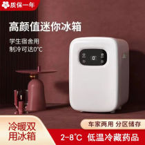 迷你小冰箱一人家用宿舍租房便携车载冰箱小型冰柜胰岛素冷藏盒5
