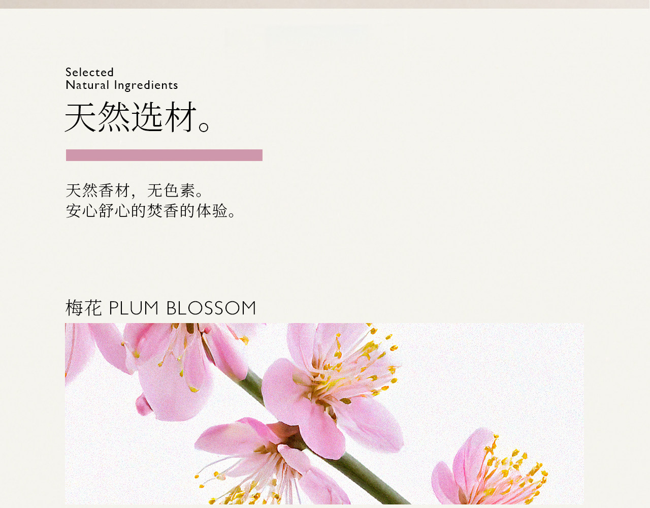 ладан xersoul司所「果木梅香」灵感线香天然梅花果香蜜香沉香薰香除味
