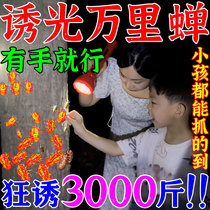 Cicada trap cicada luring artifact cicada climbing fork monkey golden cicada fresh special cicada luring powder (cicada trapping artifact)