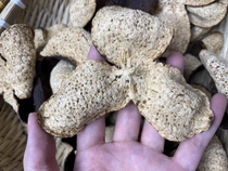 2015 Authentic Xinhui Tangjia Red Whole Skin Plum Fragrant Tangerine Peel