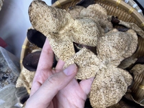 2015 Authentic Xinhui Meijiang Dahong Whole Skin Plum Fragrant Old Chenpi