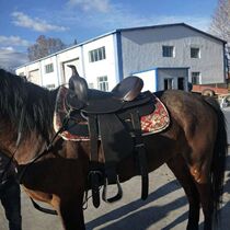 Imported Western Saddle Wild Riding Endurance Western Saddle Half Leather Western Saddle Complete Set New