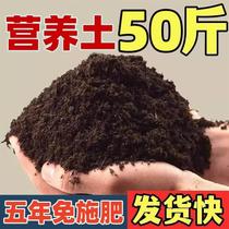 High-grade succulent granular soil organic nutrient soil dedicated for flower cultivation general-purpose vegetable soil